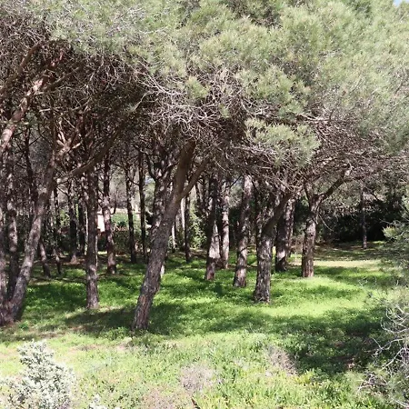 Villa De Charme En Pinède, 4 Climatisées, Accès Direct - Fr-1-100-209 *