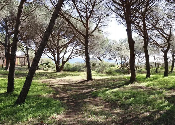 De Charme En Pinede, 4 Climatisees, Acces Direct - Fr-1-100-209 Villa *