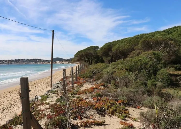 De Charme En Pinede, 4 Climatisees, Acces Direct - Fr-1-100-209 *