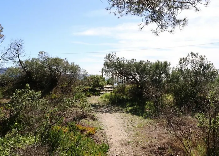 De Charme En Pinede, 4 Climatisees, Acces Direct - Fr-1-100-209 Villa