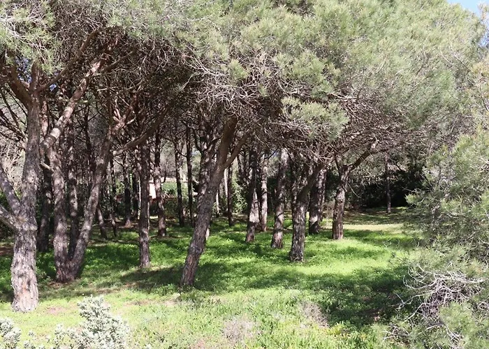 Villa De Charme En Pinede, 4 Climatisees, Acces Direct - Fr-1-100-209 *